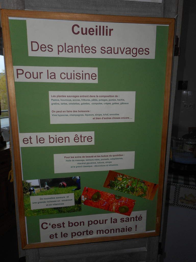 Savoir Cueillir Les Plantes Sauvages Cueillir Et Cuisiner Fr