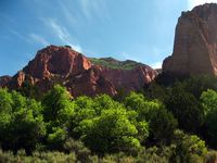 Grüße aus Südutah V: Zion National Park