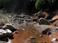 Grüße aus Südutah V: Zion National Park