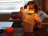 Karla und die Cheerios: Das Äffchen-Experiment am Menschen wiederholt.