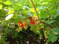 Un nouveau chez-soi ?