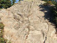 Le sommet, les pipes dans des minis prairies et Vancouver, by dawn.