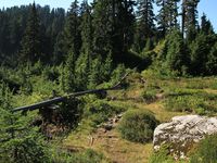 Le sommet, les pipes dans des minis prairies et Vancouver, by dawn.