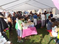 vendredi 17 juin : atelier de cuisine participative au Printemps du Bachut