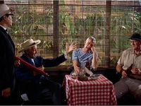 rencontre amis valence