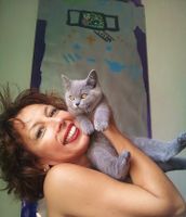 adopter un chat adulte british shorthair