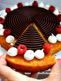 Gâteau Moelleux et fondant au citron tourbillon chocolat