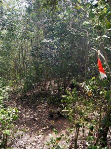 24_anse_a_l_ane_anse_noire