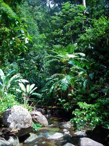 26_morne_chapeau_negre