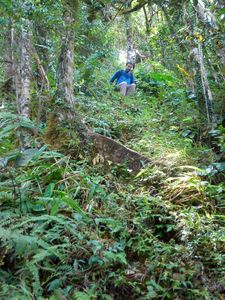 26_morne_chapeau_negre