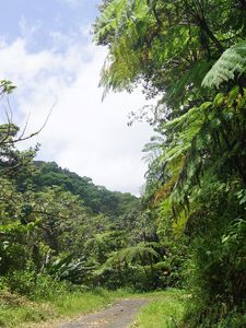 25_reculee_morne_l_etang