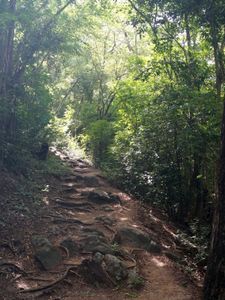 31_piton_creve_coeur