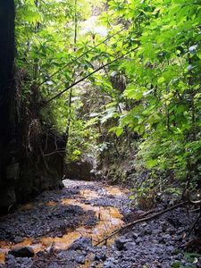 36_sources_chaudes_pelee