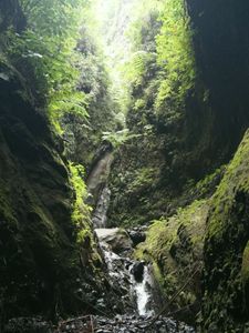 36_sources_chaudes_pelee