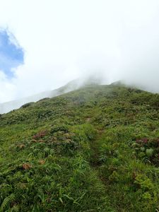 40_morne_macouba