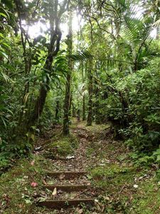 40_morne_macouba