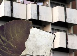 A SOLITUDINE DEI NUMERI MILLESIMI