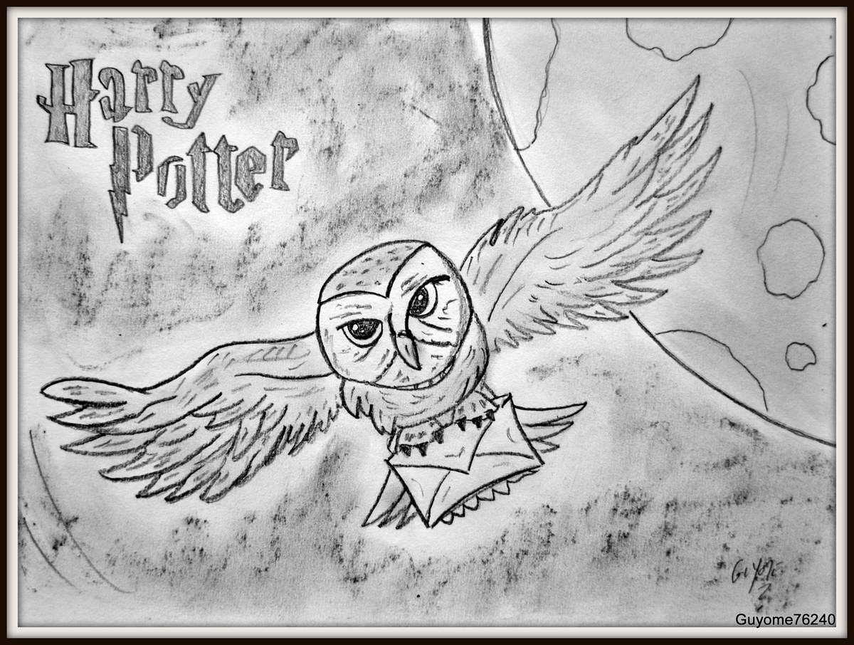 Dessin Harry Potter