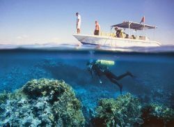 Aqaba, l’altro Mar Rosso in Giordania