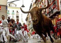 Che la Festa abbia inizio… arrivano i Sanfermines!