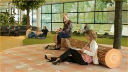 Schiphol Airport Park: ad Amsterdam la sala d’attesa è…nel parco