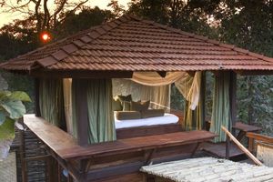 India, Taj Safaris tra lusso e avventura