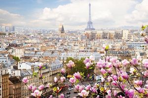 Parigi glam-chic, estate tra mostre fashion e neo-bistrot