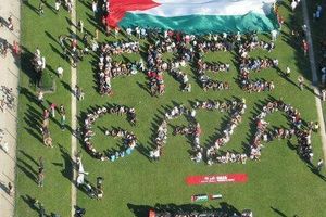 Gaza : Rassemblement à Toulouse samedi 17 novembre
