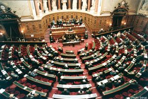 Le Sénat vote une amnistie sociale a minima