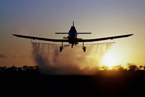 Agriculture : Pesticides et insecticides stop!!!