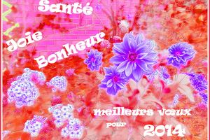 Meilleurs Vœux 2014