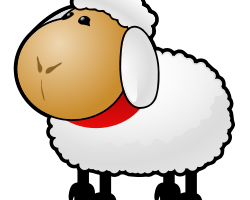 Les règles, les cancres et les moutons...