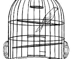 Le CDI est-il une prison ?