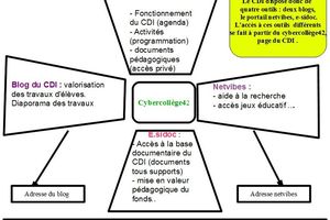 Espace informationnel du CDI : prise en compte de l'espace numérique.