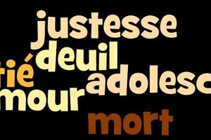 Quand les nuages "éclairent" ou créer un nuage de mots clés sous wordle peut être parfois utile!