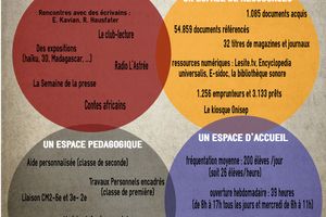 Des infographies "bilan" de CDI.