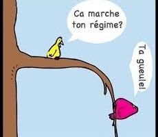 Je veux perdre du poids avant l'été !