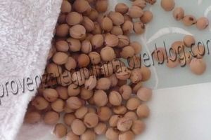 Come utilizzare i Noccioli di amarene