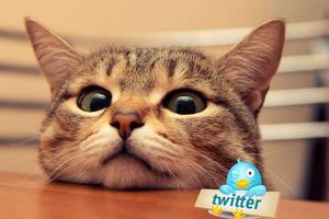 Twitter
