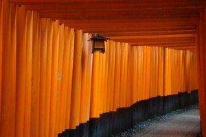 Liilly Grenouille, en excursion... au Japon !