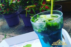 Mojito Sans Alcool