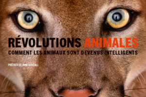 Révolutions animales