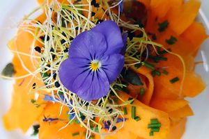 Vivre vegan, le nouvel Eden ?