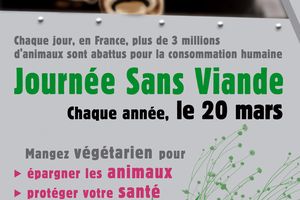 20 mars, journée internationale sans viande, eat vegan for a day