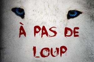 À pas de loup, Mylène Ormerod, Editions Dreelune