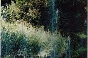 La Fontaine du jardin de Terrasson