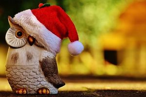 Joyeux Noël à tous mes lecteurs, lectrices, visiteurs et visiteuses.