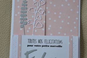 Une carte de naissance