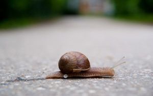 Doucement… mais sûrement ?