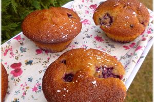 ... Muffins aux Mûres et Noix de Coco ...